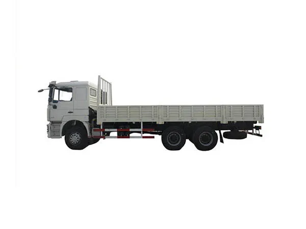 shacman 6x4 cargo truck